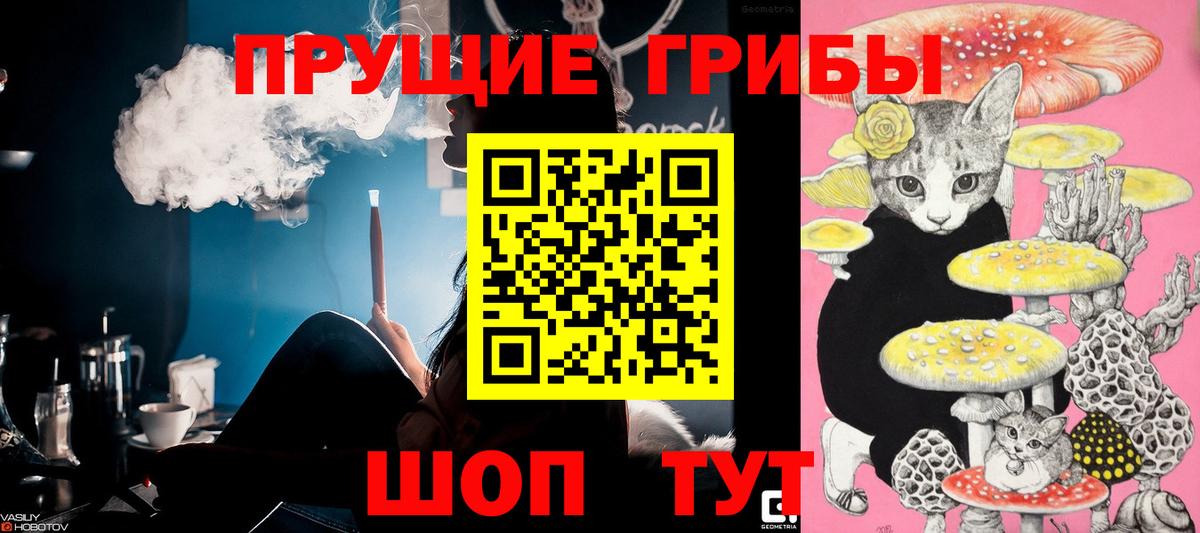 Галлюциногенные грибы ЛСД Красноармейск